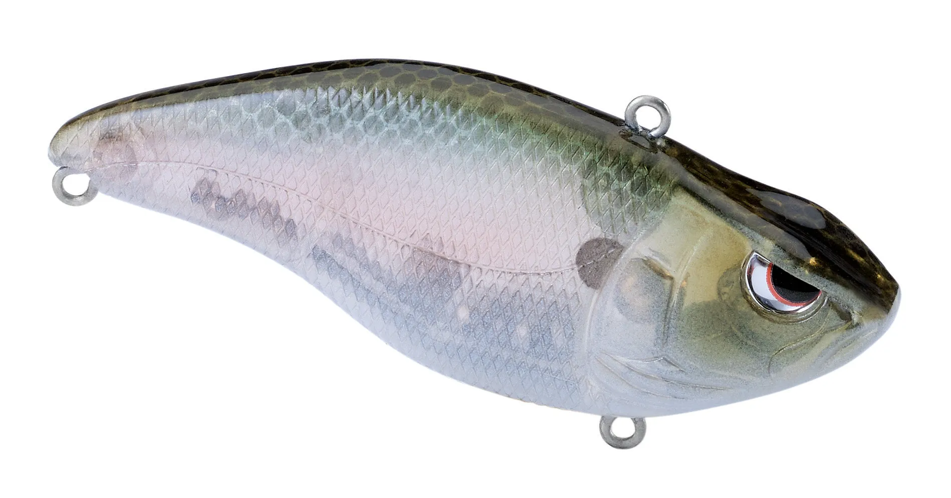 Aruku Shad 60