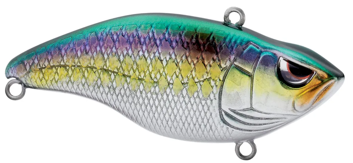 Aruku Shad 60