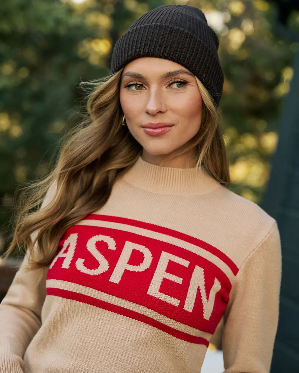 Aspen Dreams Knit Graphic Sweater