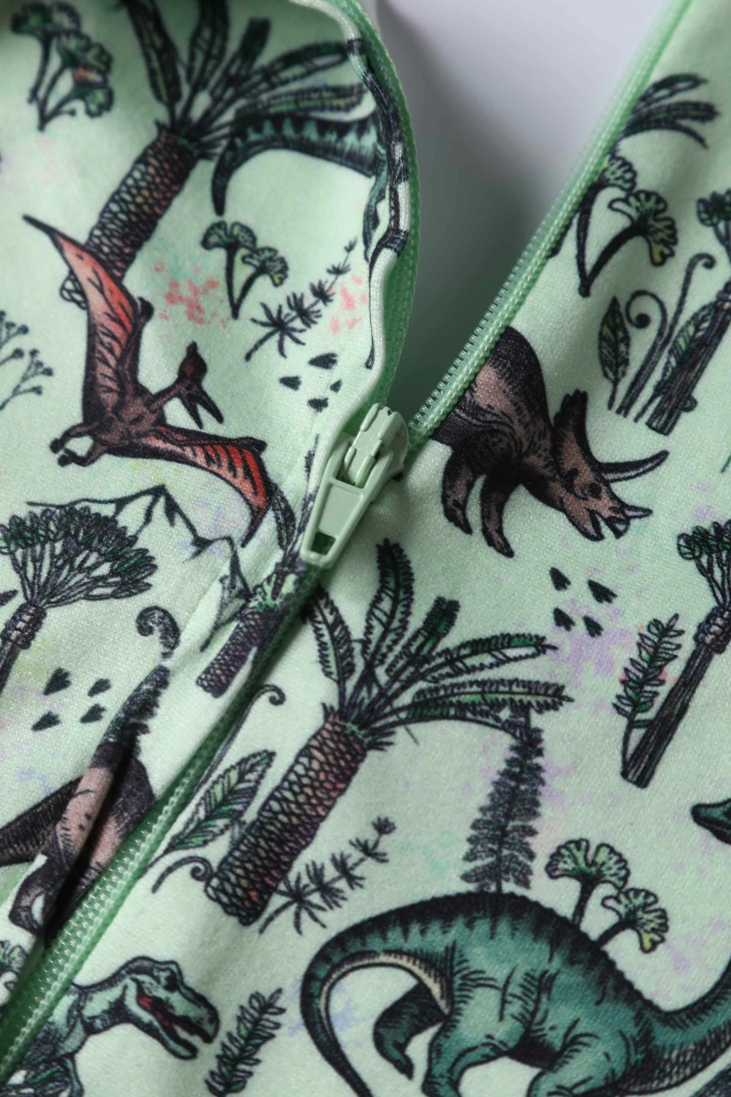 Billie Dinosaur Light Green Long Sleeved Dress