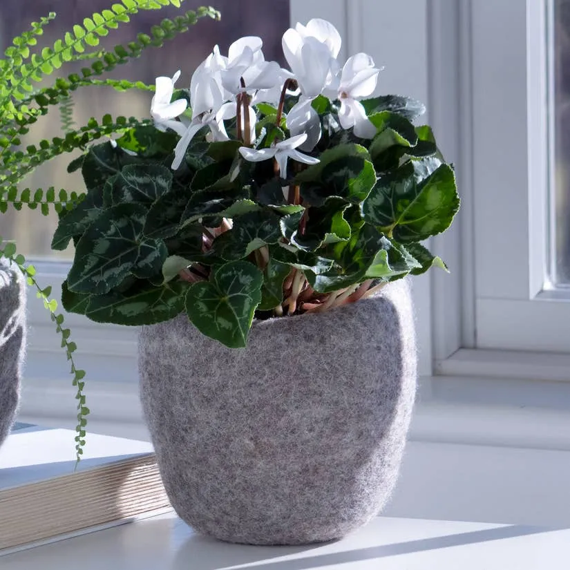 Cozy Felt Planter