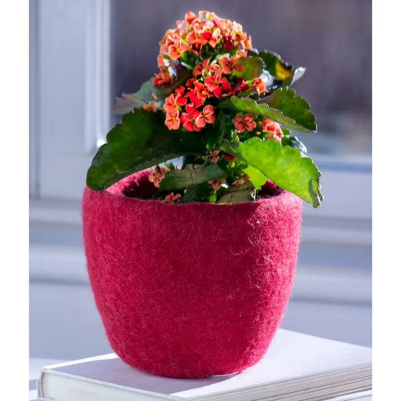 Cozy Felt Planter