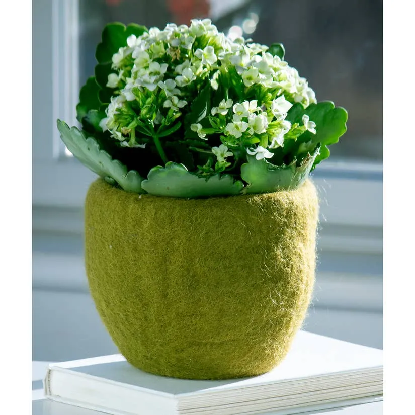 Cozy Felt Planter