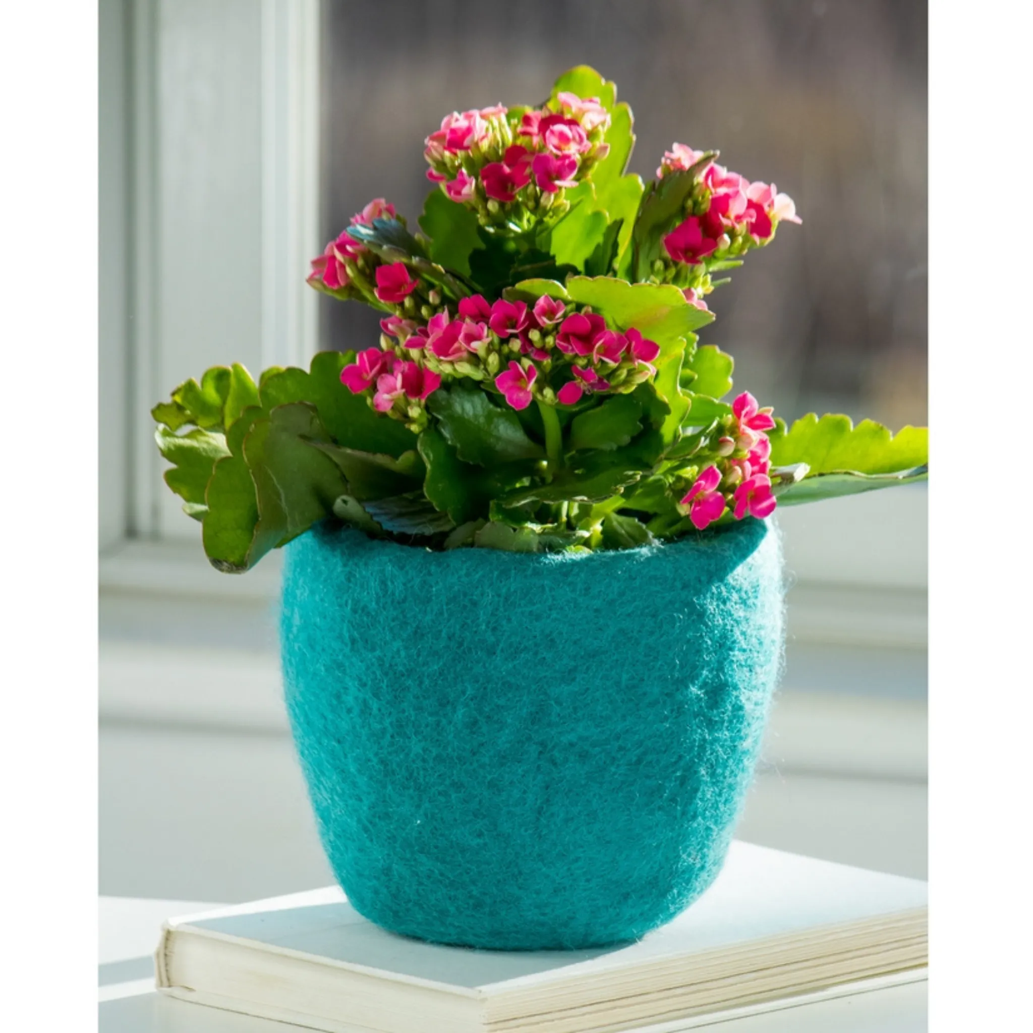 Cozy Felt Planter