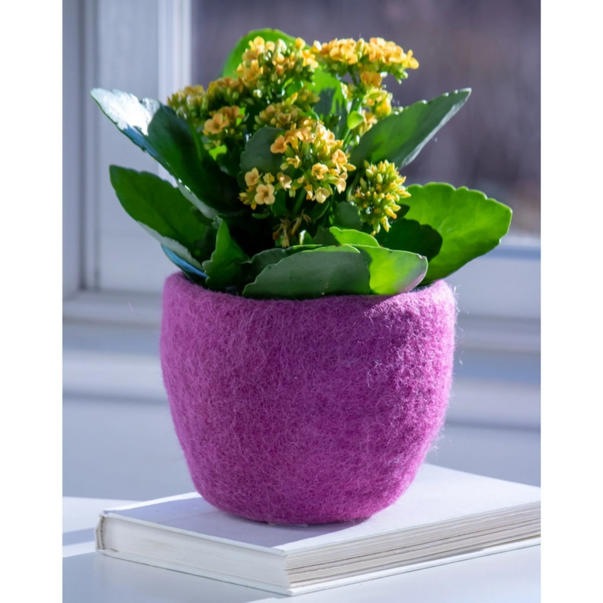 Cozy Felt Planter