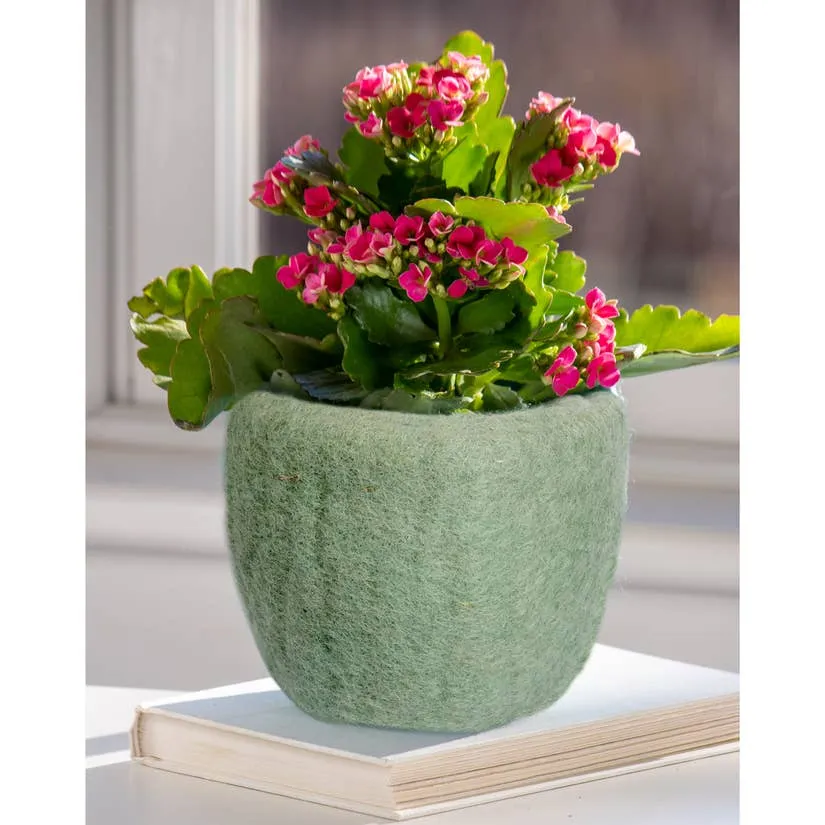 Cozy Felt Planter