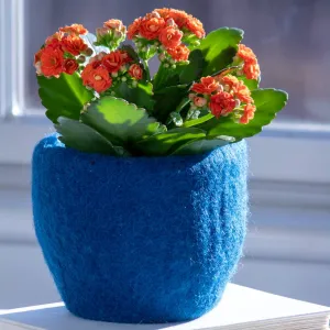 Cozy Felt Planter